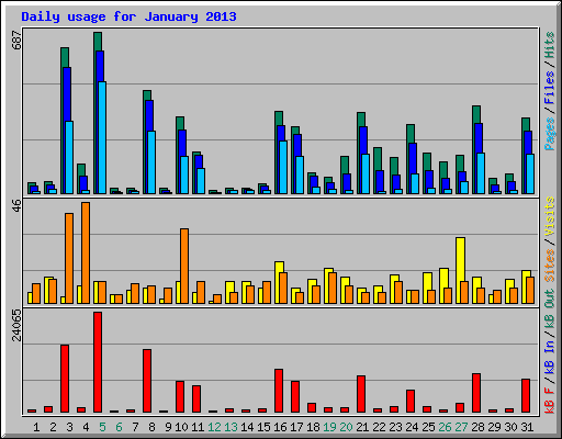 Daily usage for January 2013
