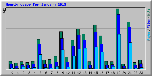 Hourly usage for January 2013