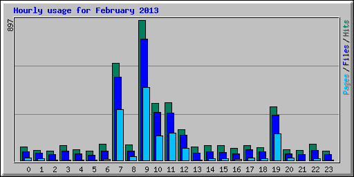 Hourly usage for February 2013