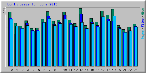 Hourly usage for June 2013